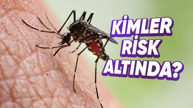 Bazılarımızın Sivrisinekleri, Tıpkı Bir Mıknatıs Gibi Üzerine Çekmesinin Şaşırtıcı Nedenleri