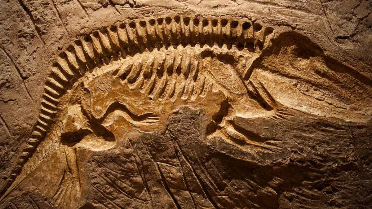 Bilim İnsanları Nasıl Oluyor da Dinozor Kemiklerinin Yaşını “Şıp” Diye Belirleyebiliyor?