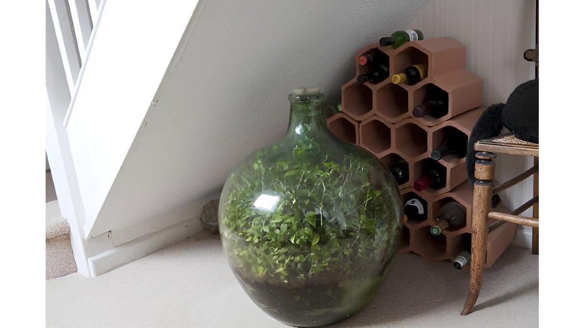 52 Yıldır Sulanmamasına Rağmen Yaşayan Bitkinin Bunu Nasıl Yaptığını Öğrenince Doğaya Bir Kez Daha Saygı Duyacaksınız!