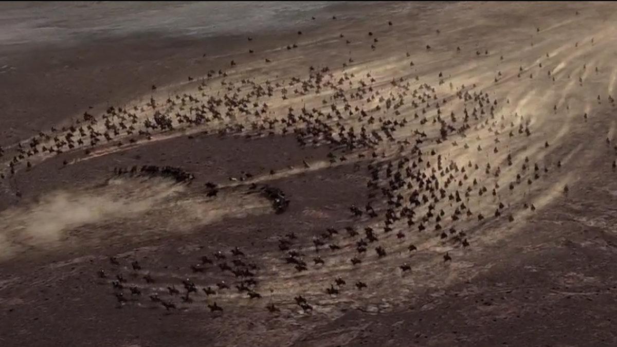 Düşmanı Aldatma Sanatında Başrol Oyuncusu Hilal Taktiğinin, Yıllar Boyunca İşe Yaramasının Ardındaki Sebepler Nelerdi?