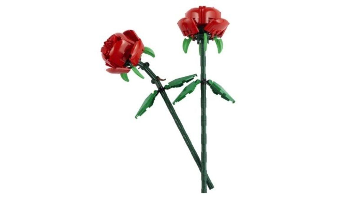 Yeni Hobi Arayan Yetişkinlere Özel Lego Modelleri