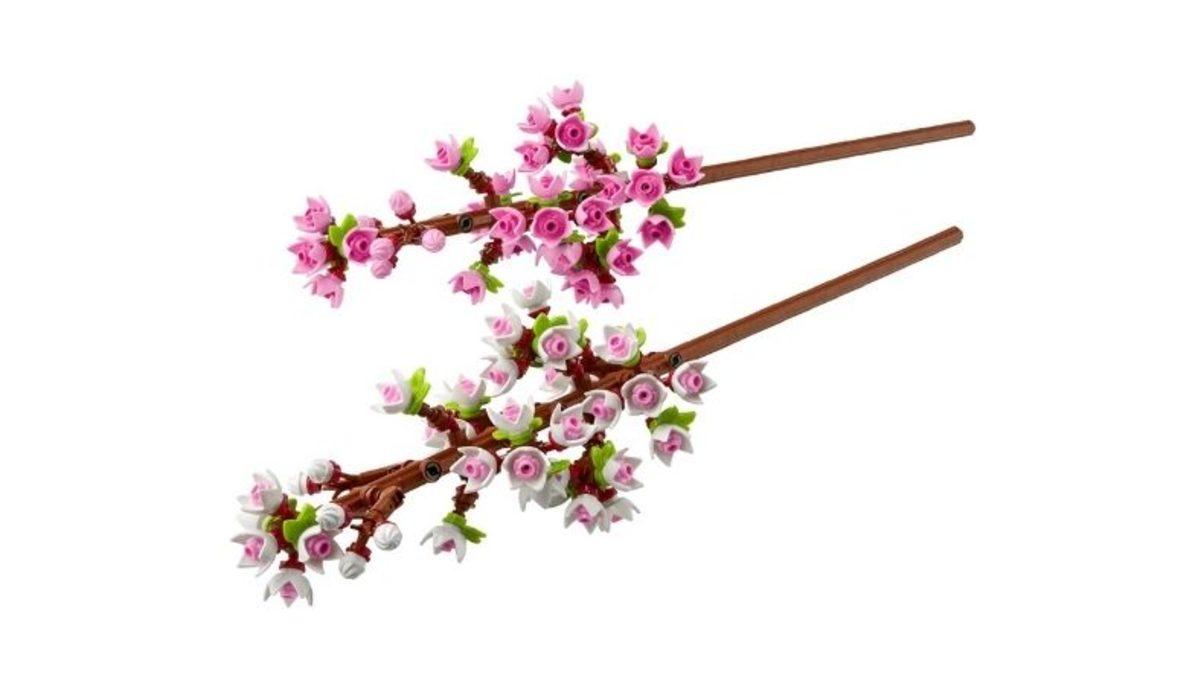 Yeni Hobi Arayan Yetişkinlere Özel Lego Modelleri