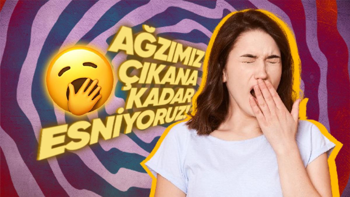 Neden Sabahtan Akşama Kadar Ağzımız Çıkarmışçasına Sürekli Esneriz?