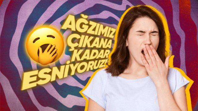 Neden Sabahtan Akşama Kadar Ağzımız Çıkarmışçasına Sürekli Esneriz?
