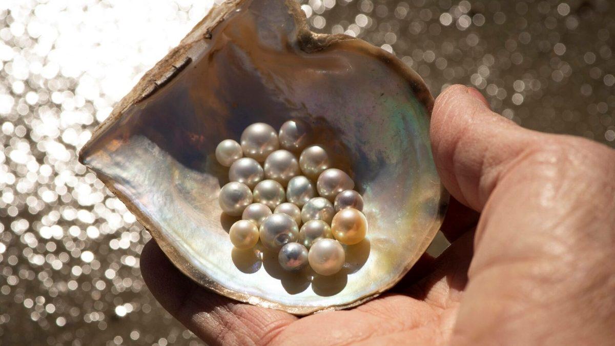 İnciler Nasıl Oluyor da Fabrika Üretimi Gibi Bu Kadar Kusursuz Bir Şekle Sahip Olabiliyor?
