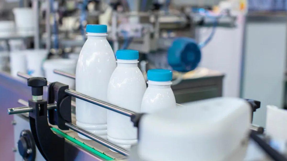 Laboratuvarlarda Üretilen Süt Ürünleri, İneksiz Bir Gelecek mi Demek? Bilimin Penceresinden Açıkladık