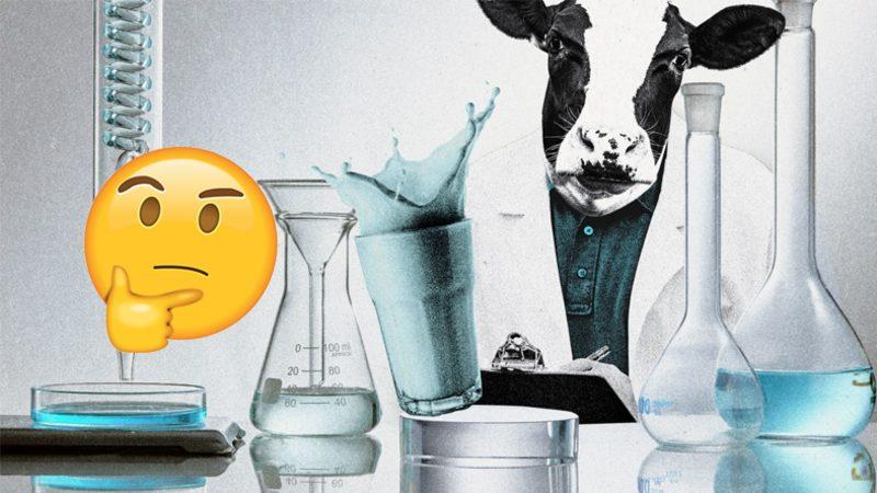 Laboratuvarlarda Üretilen Süt Ürünleri, İneksiz Bir Gelecek mi Demek? Bilimin Penceresinden Açıkladık