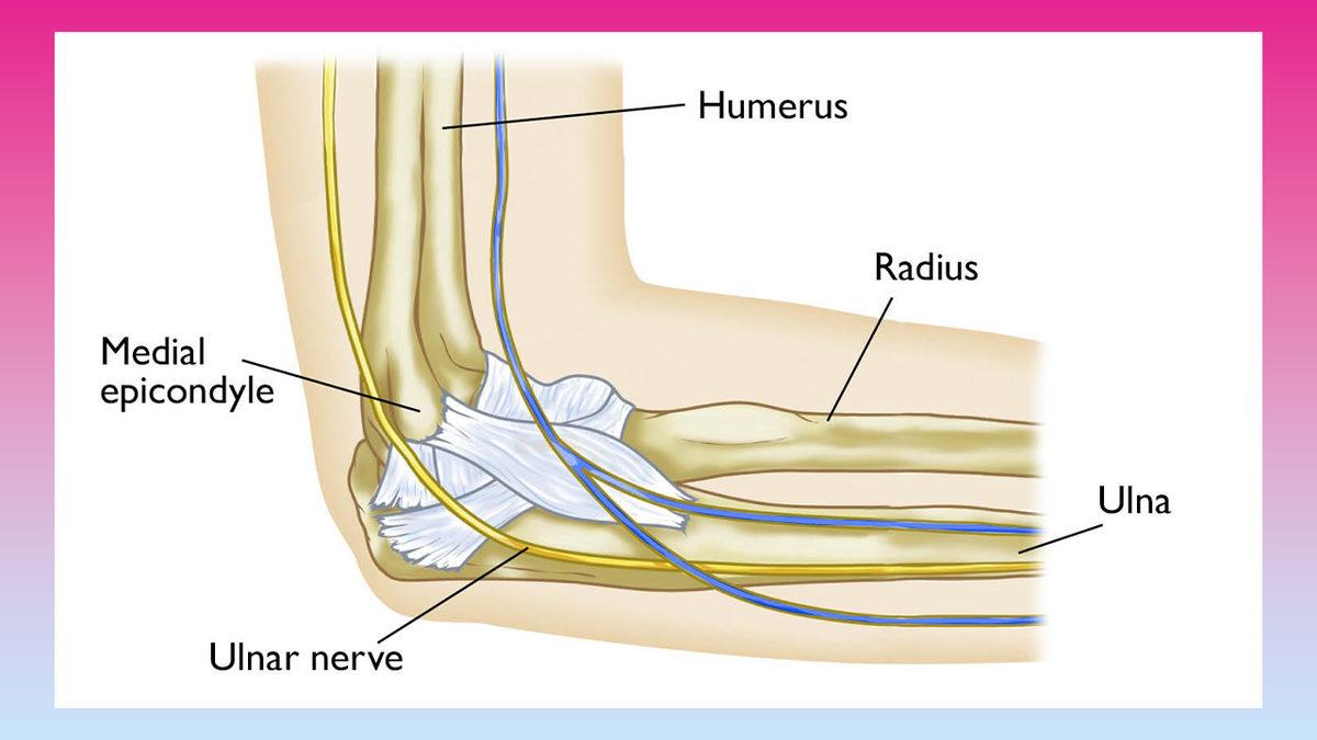 Dirseğimizi Bir Yere Çarptığımızda Neden Elektrik Çarpmış Gibi Hissederiz?