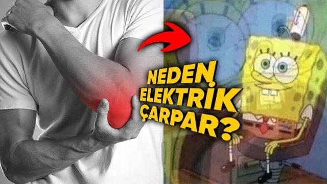 Dirseğimizi Bir Yere Çarptığımızda Neden Elektrik Çarpmış Gibi Hissederiz?