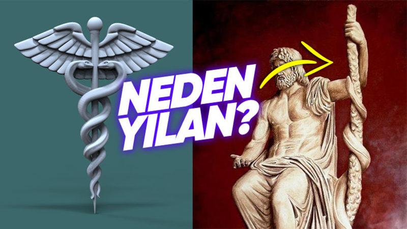 Tehlikeli Bir Hayvan Olarak Bildiğimiz Yılan, Nasıl Oldu da İyileştirici Tıbbın Sembolü Oldu?