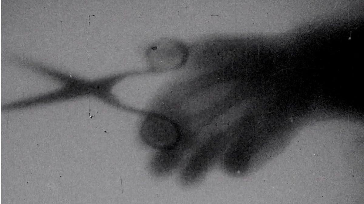 Gizlice İnsanların Evlerine Girip Saçlarını Çalan Tuhaf Suçlu 