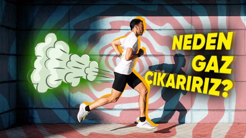 Protein Tozu Tükettikten Sonra Neden Bütün Gün Gaz Çıkarma İhtiyacı Duyarız?