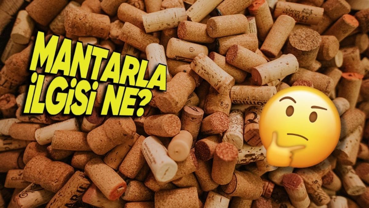 Şarap Mantarının Neyden Yapıldığını Öğrenince Çöpe Atmaya Kıyamayacaksınız!