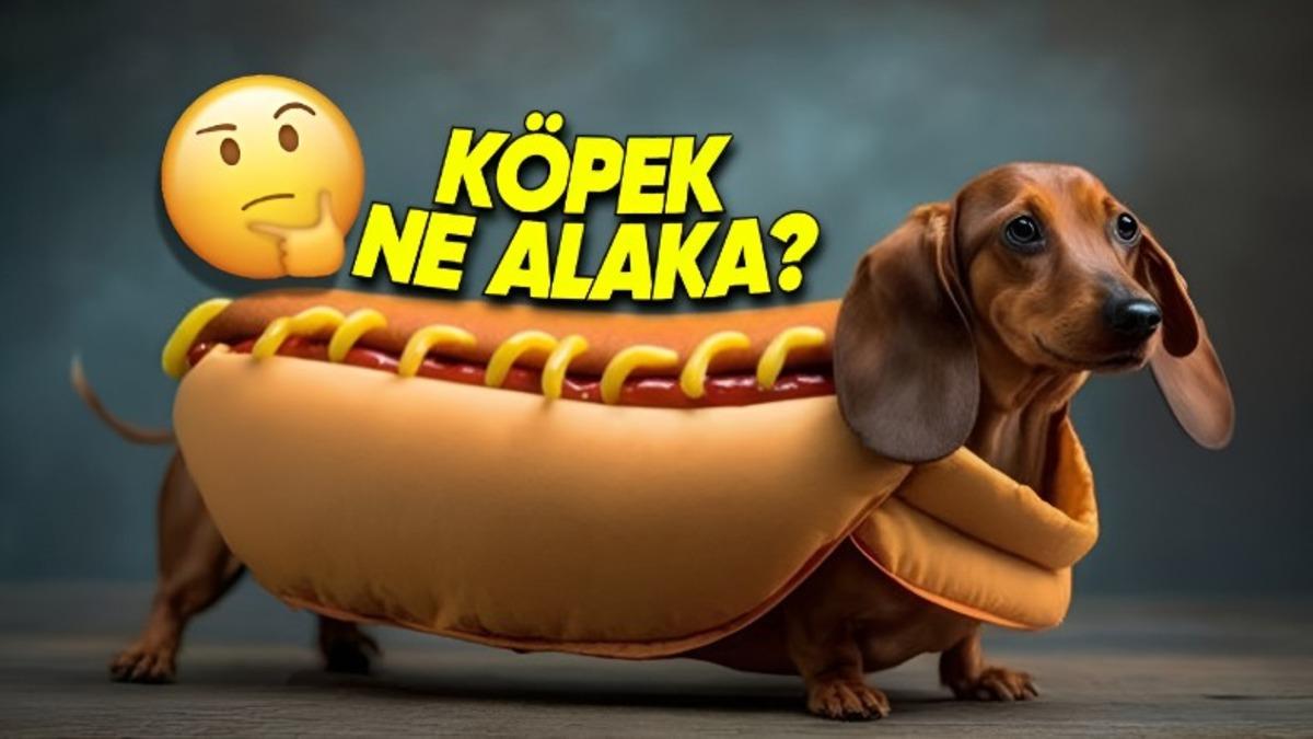 Sosisliye Neden "Hot Dog (Sıcak Köpek)" Deniyor?  1800’lü Yıllara Dayanan Bir Hikâyesi Var!