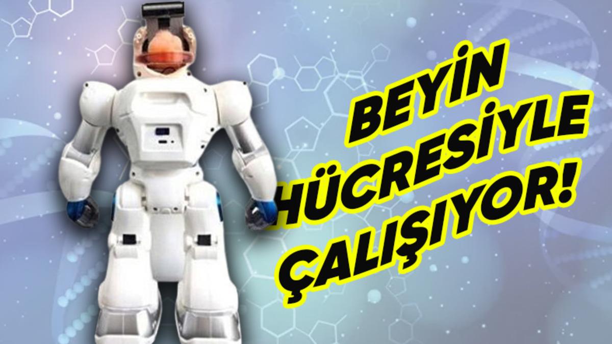 Dünyanın İlk "Beyinle" Çalışan Robotu Geliştirildi