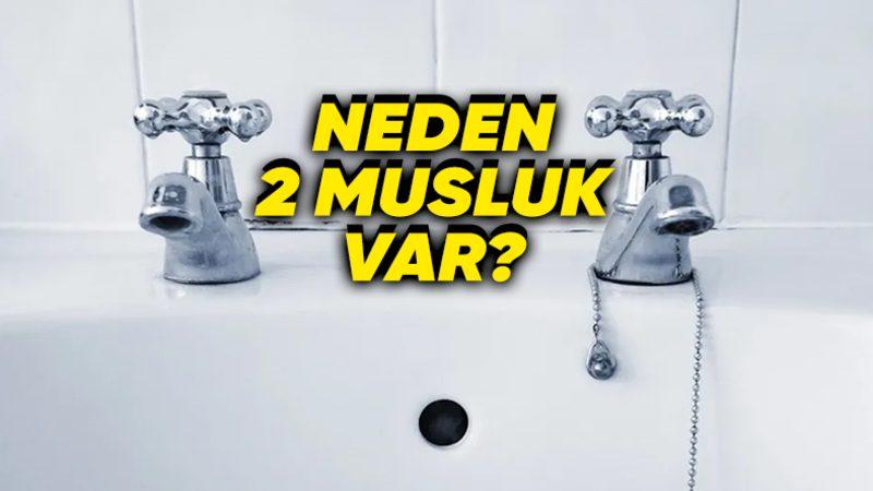 İngiltere’deki Lavabolarda 2 Adet Musluk Bulunmasının İlginç Ama Haklı Sebebi