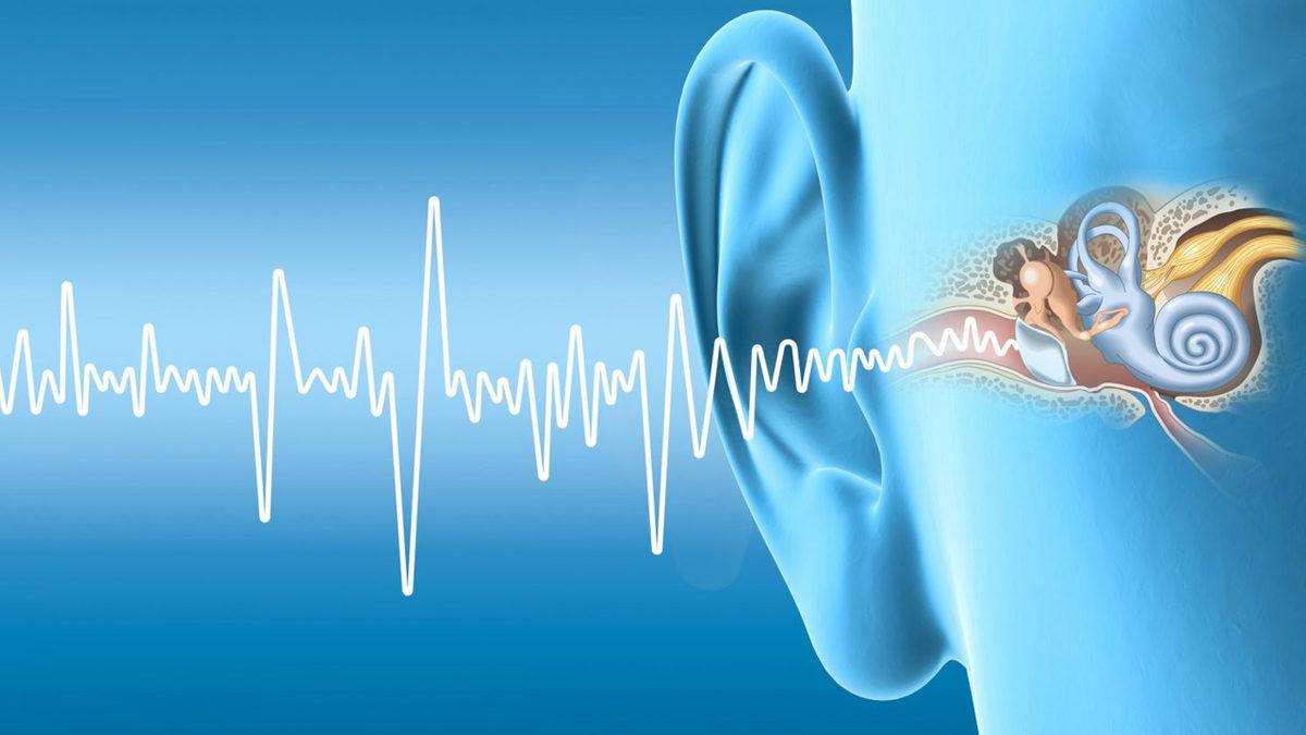 Geceleri En Ufak Sesleri Bile Duyanlar Buraya: Karanlıkta Neden Daha İyi Duyduğumuzun Nedenlerini Açıklıyoruz