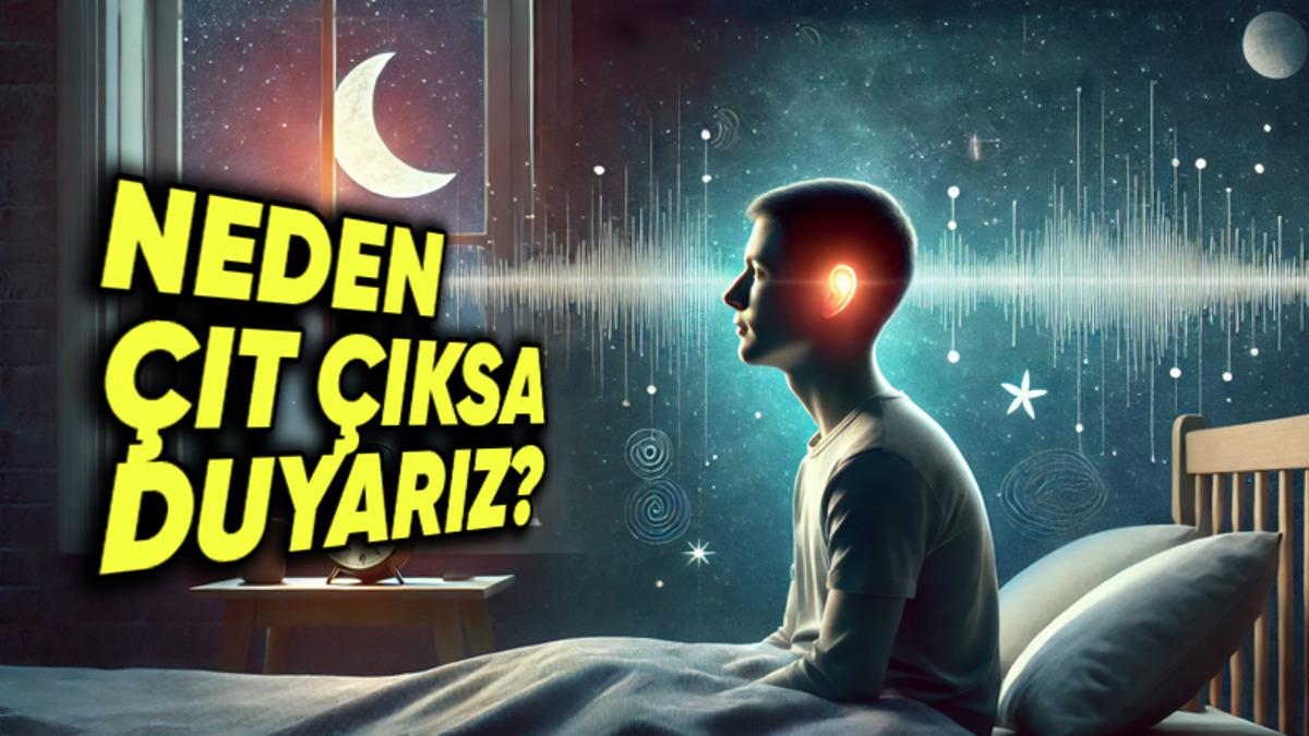 Geceleri En Ufak Sesleri Bile Duyanlar Buraya: Karanlıkta Neden Daha İyi Duyduğumuzun Nedenlerini Açıklıyoruz