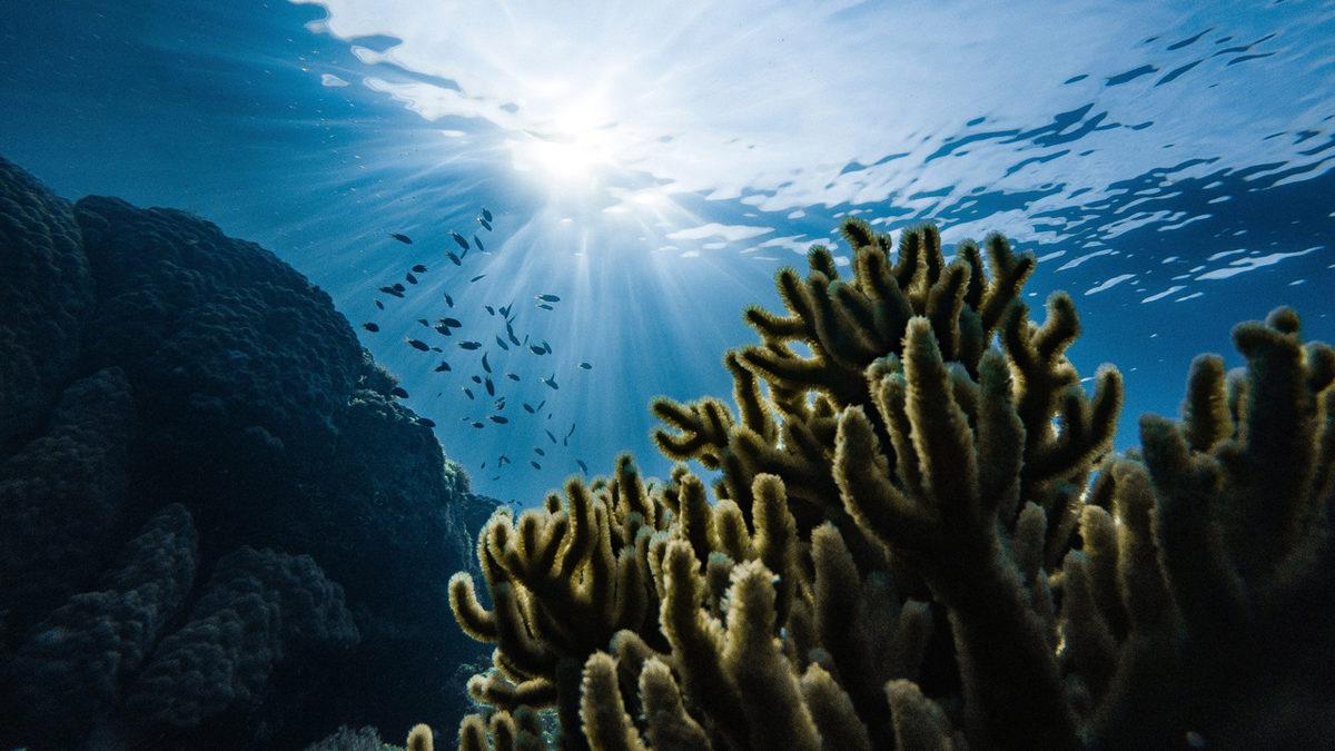 Kuzeydeki Ölü Deniz: Karadeniz’in Derinliklerinde Neden Canlı Yaşayamıyor?
