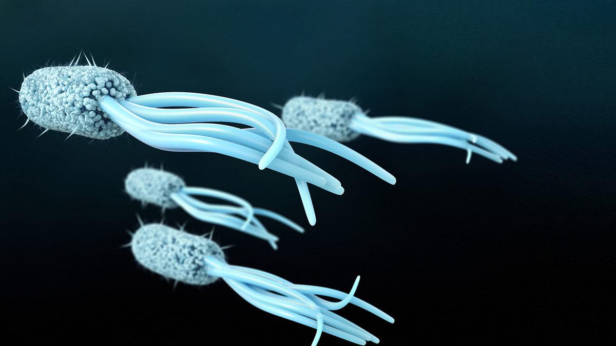 Kuzeydeki Ölü Deniz: Karadeniz’in Derinliklerinde Neden Canlı Yaşayamıyor?