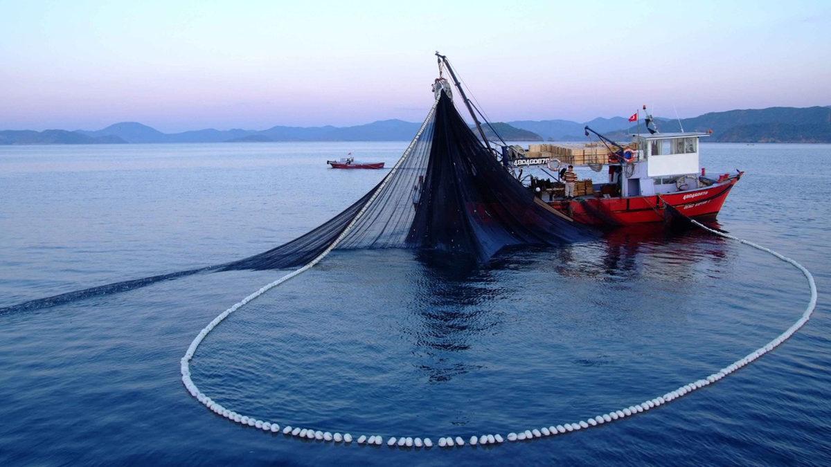 Kuzeydeki Ölü Deniz: Karadeniz’in Derinliklerinde Neden Canlı Yaşayamıyor?