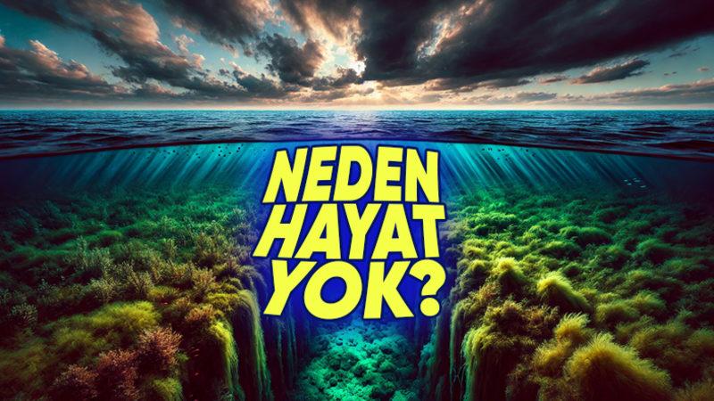 Kuzeydeki Ölü Deniz: Karadeniz’in Derinliklerinde Neden Canlı Yaşayamıyor?