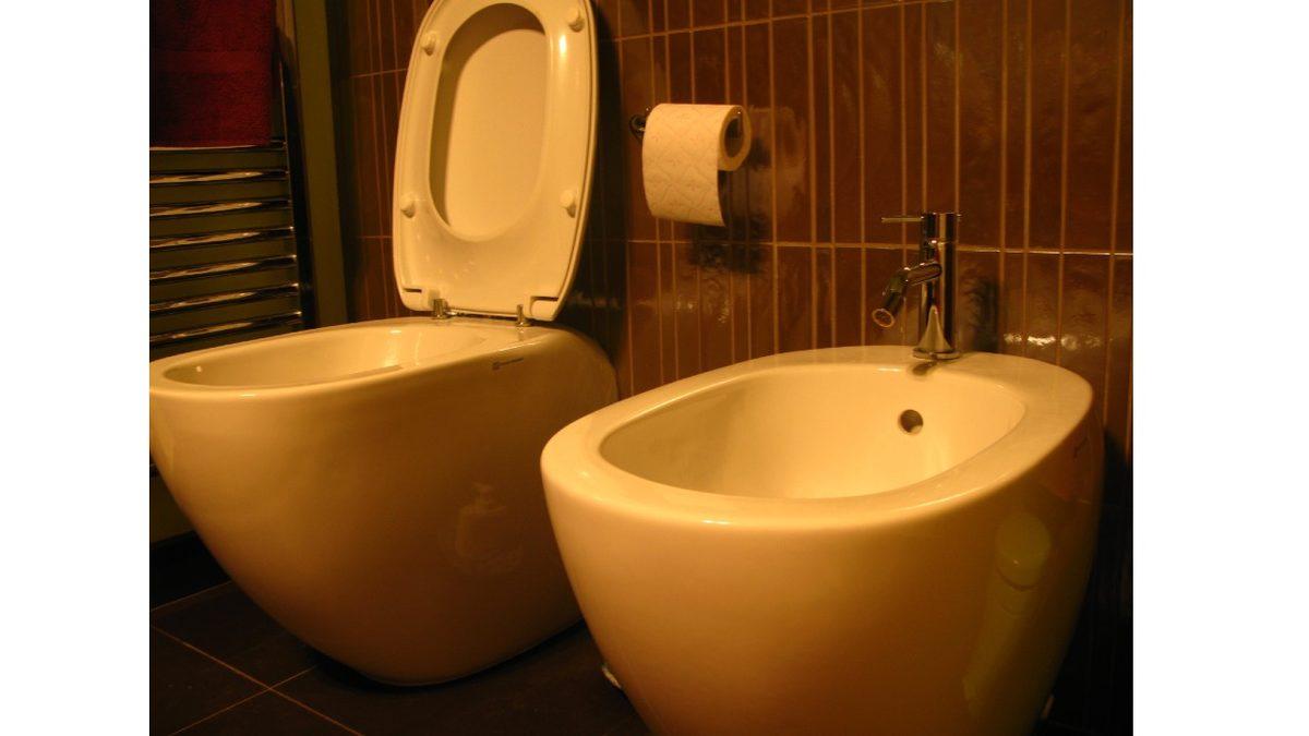 Avrupa’nın Bazı Yerlerinde Neden Yan Yana İki Tuvalet Var? Hayır, El Ele Tutuşup Yapmak İçin Değil!