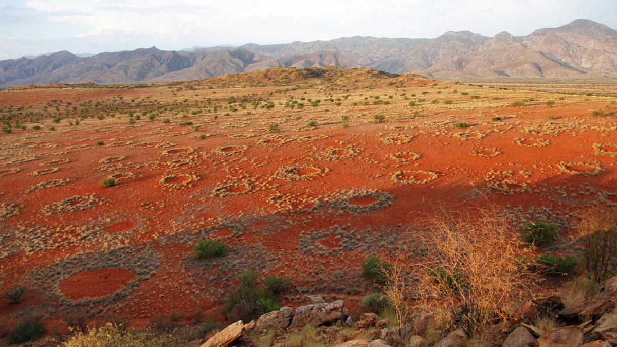 Dünyanın Dört Bir Yanındaki Bu Gizemli Peri Çemberlerinin Sırrı Ne?