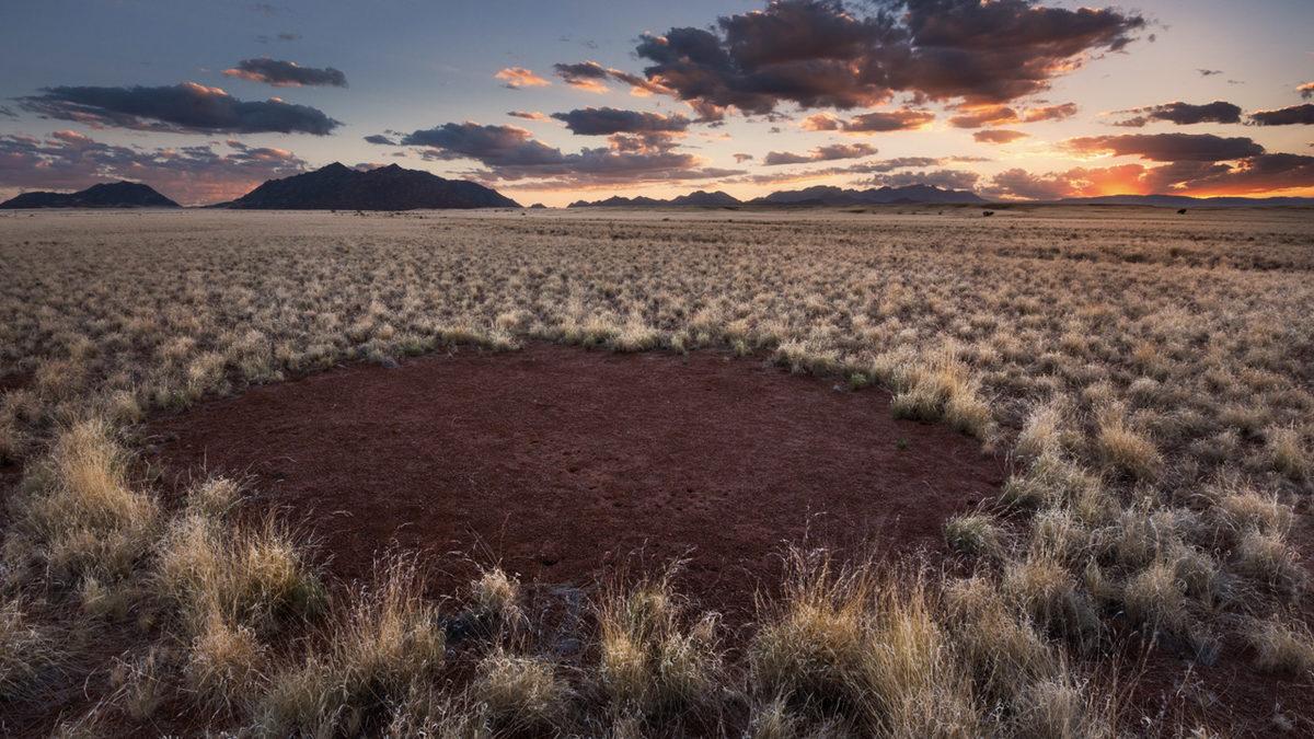 Dünyanın Dört Bir Yanındaki Bu Gizemli Peri Çemberlerinin Sırrı Ne?