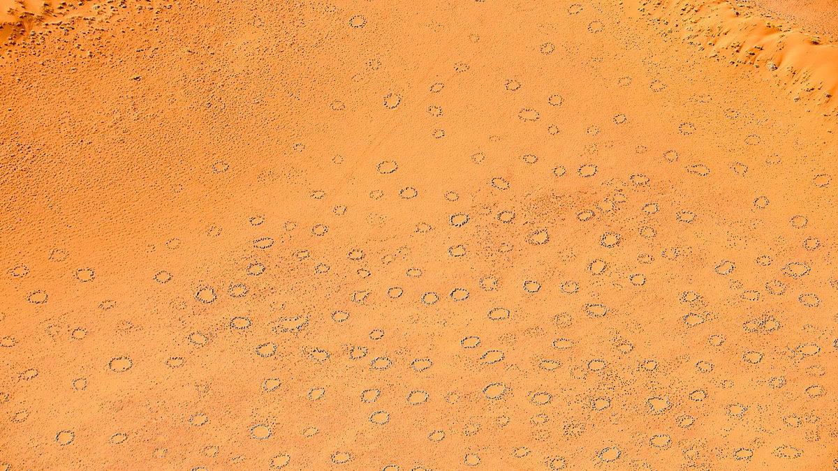 Dünyanın Dört Bir Yanındaki Bu Gizemli Peri Çemberlerinin Sırrı Ne?