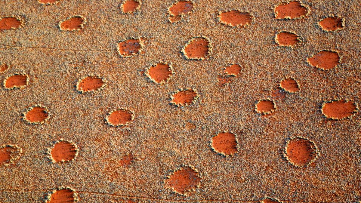 Dünyanın Dört Bir Yanındaki Bu Gizemli Peri Çemberlerinin Sırrı Ne?