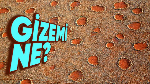 Dünyanın Dört Bir Yanındaki Bu Gizemli Peri Çemberlerinin Sırrı Ne?