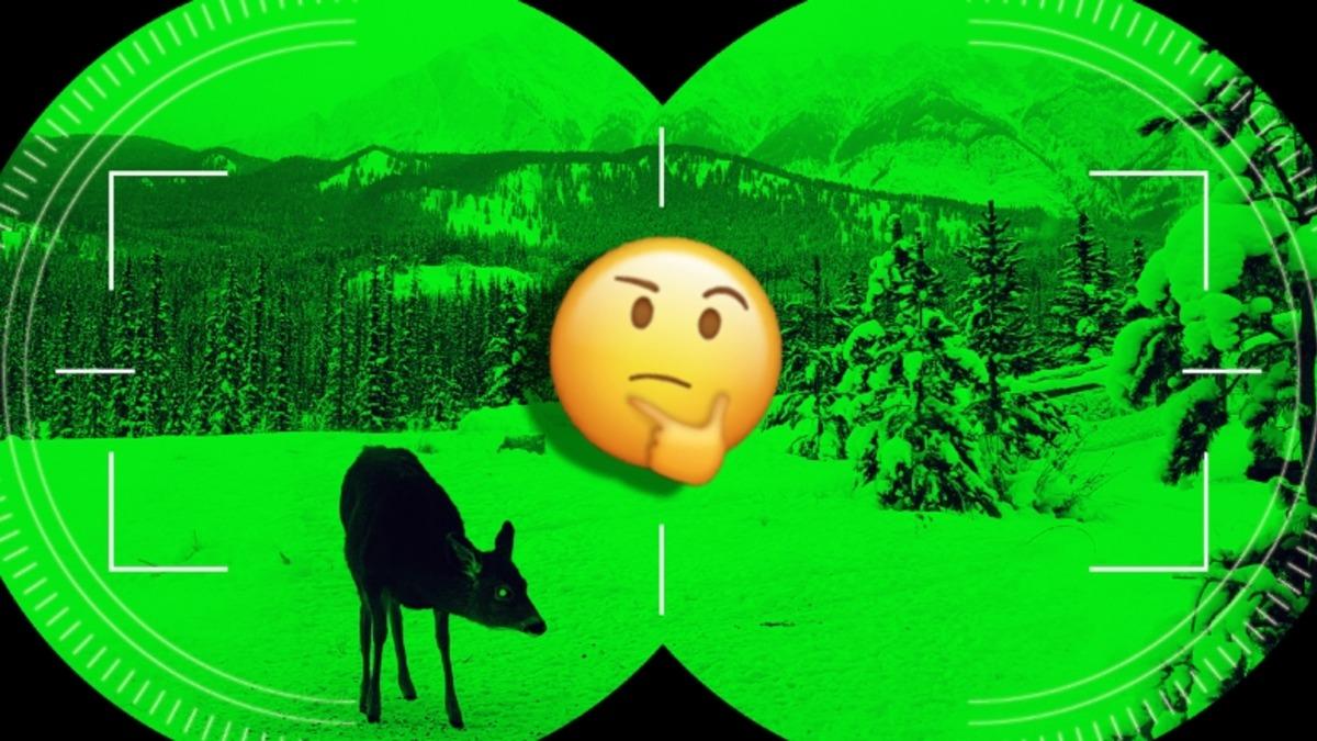 Gece Görüşlü Dürbünler Nasıl Oluyor da Zifiri Karanlıkta Bile Görmeyi Sağlıyor?