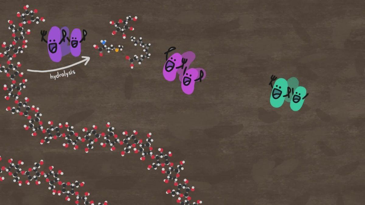 İnsan ve Hayvan Dışkılarını Güç Kaynağına Dönüştürmek Nasıl Mümkün Olabilir?