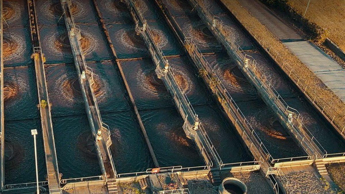 İnsan ve Hayvan Dışkılarını Güç Kaynağına Dönüştürmek Nasıl Mümkün Olabilir?