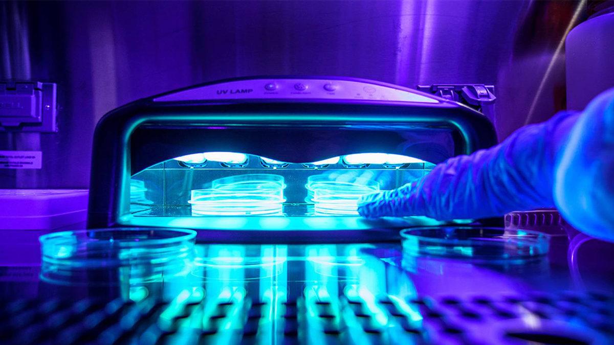 Eğer UV Işıkları Bakterileri Öldürüyorsa Neden Her Yerde Kullanmıyoruz? İşte Bilimin Soruya Cevabı