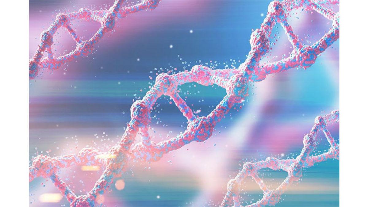 Bilime Göre Hiçbir Bağı Olmamasına Rağmen Birbirine Benzeyen Kişilerin DNA’ları da Birbirine mi Benziyor?