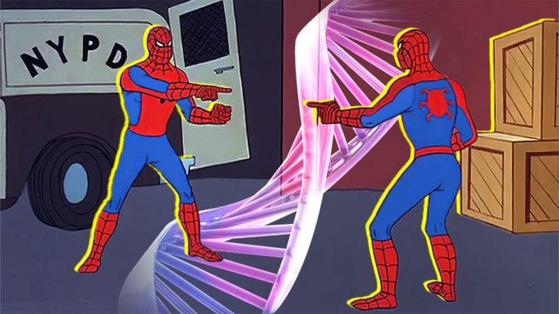 Bilime Göre Hiçbir Bağı Olmamasına Rağmen Birbirine Benzeyen Kişilerin DNA’ları da Birbirine mi Benziyor?