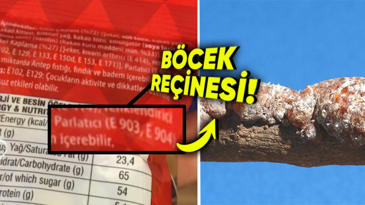 Neredeyse Her Şekerlemenin Arkasında Gördüğümüz E904 Kodu Nedir? Böceklerden Elde Ediliyormuş!