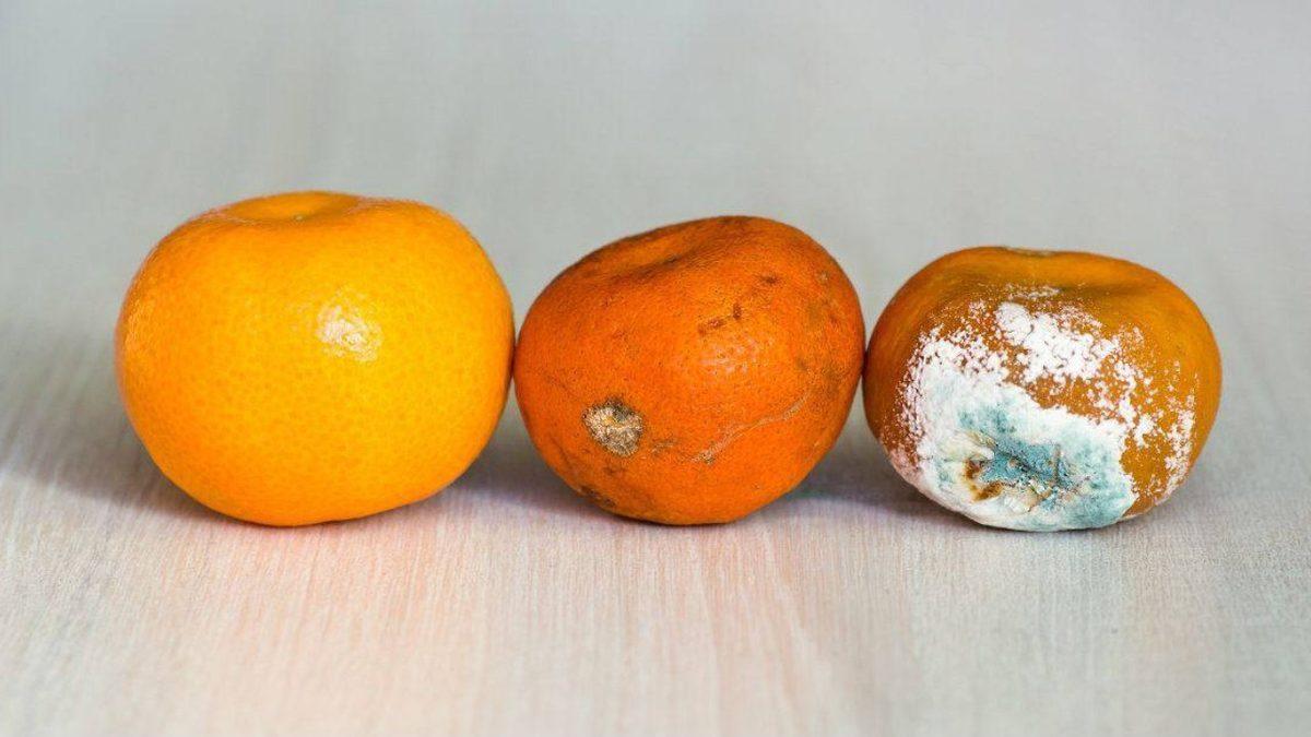 Bazı Meyveler Bekledikçe Lezzetlenirken Bazıları Neden Kısa Sürede Bozulmaya Başlar?