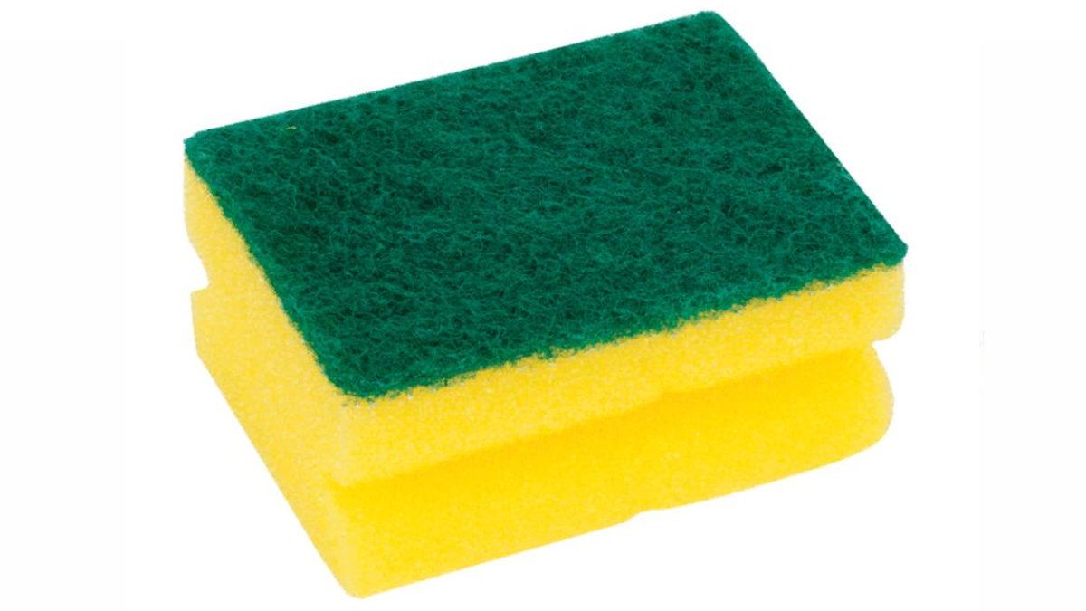 Evinizde En Çok Bakterinin Nerede Olduğunu Öğrenince O Nesneyi Anında Çöpe Atmak İsteyeceksiniz!