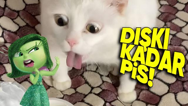 Evinizde En Çok Bakterinin Nerede Olduğunu Öğrenince O Nesneyi Anında Çöpe Atmak İsteyeceksiniz!