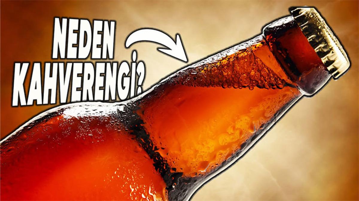 Bira Şişeleri Neden Kahverengi ve Yeşil Gibi Koyu Renklerde Yapılır?
