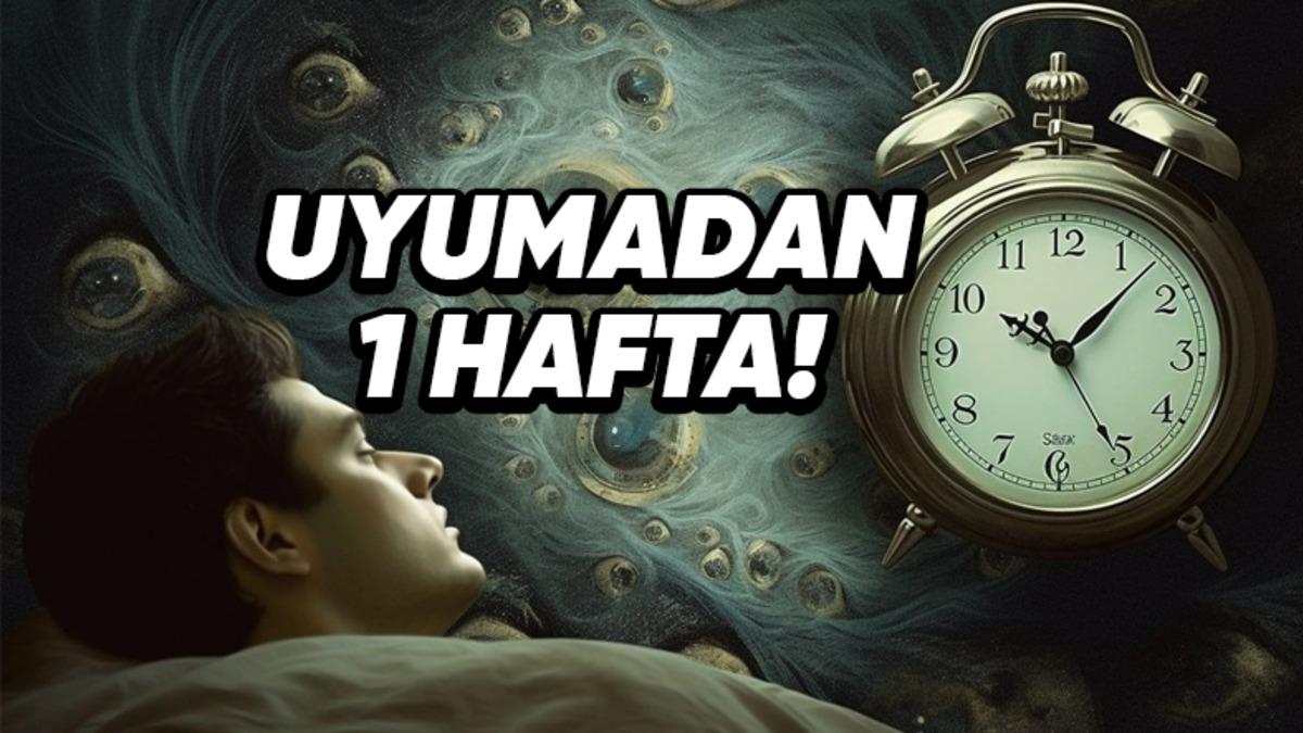 1 Hafta Boyunca Uyumazsak Başımıza Neler Gelirdi? Tüm Gerçekleriyle Anlattık!