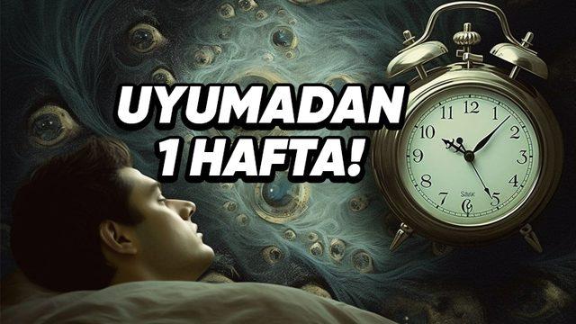 1 Hafta Boyunca Uyumazsak Başımıza Neler Gelirdi? Tüm Gerçekleriyle Anlattık!
