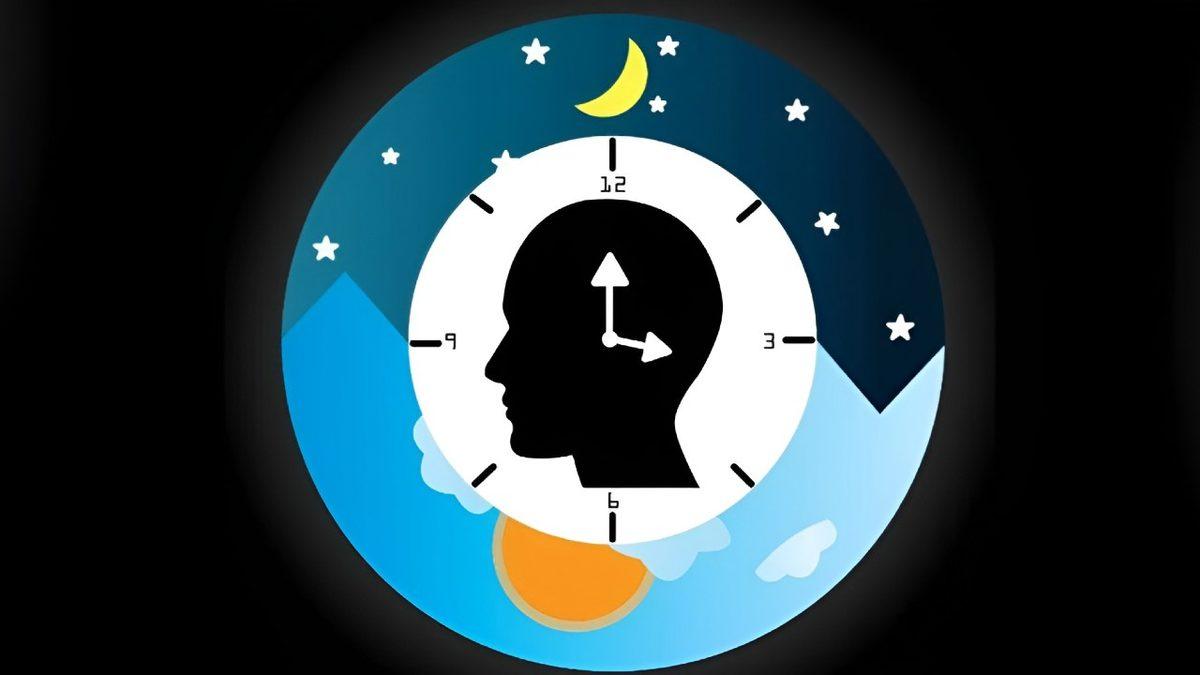 Bazen Gün İçinde Yorgun Hissederken Geceleri Neden Enerjik Oluruz?