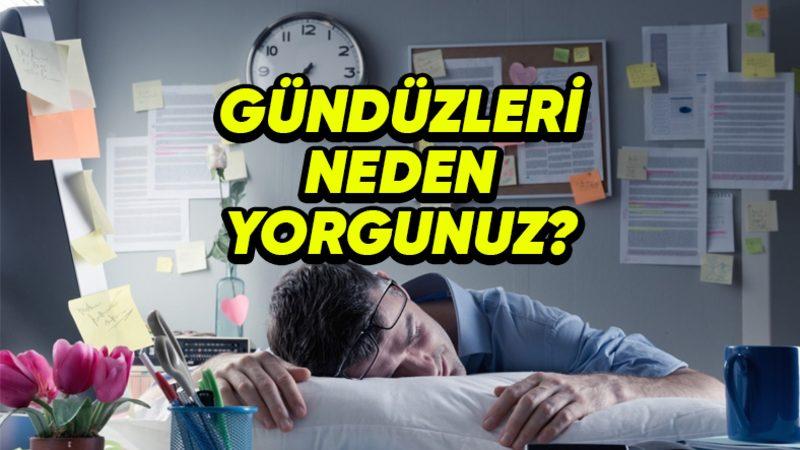 Bazen Gün İçinde Yorgun Hissederken Geceleri Neden Enerjik Oluruz?