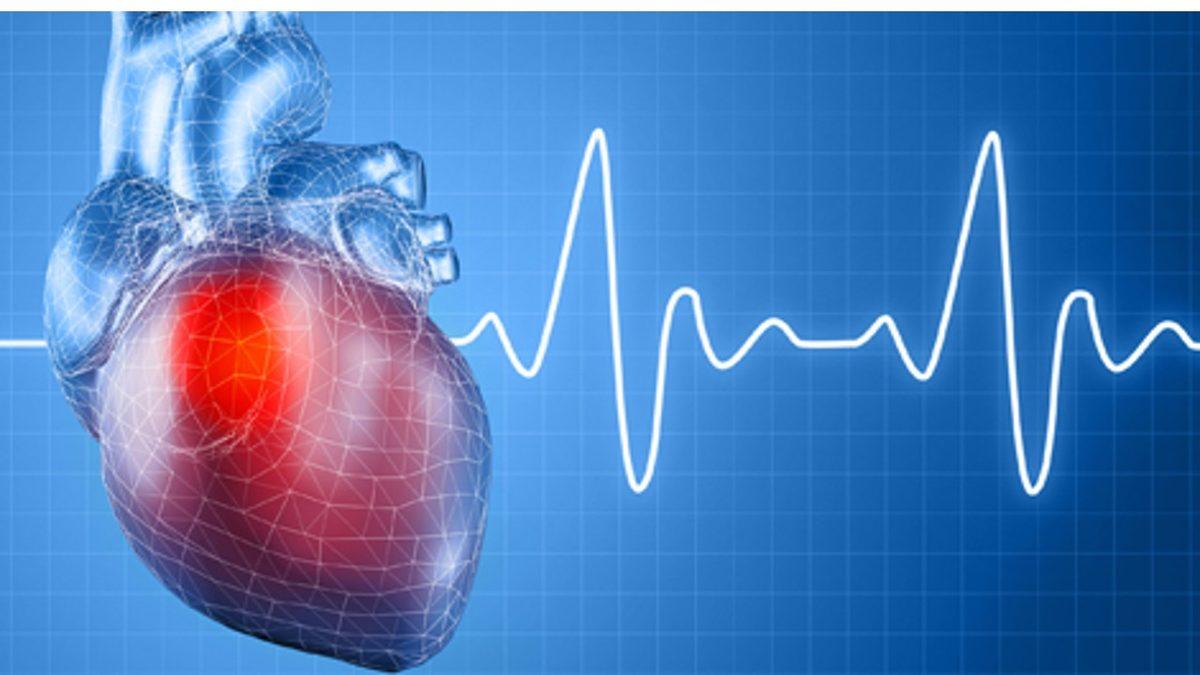 Vücudumuzun Derinliklerine İniyoruz: Kalp Atış Sesimizin Kaynağı Tam Olarak Ne?