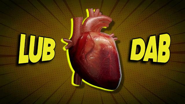 Vücudumuzun Derinliklerine İniyoruz: Kalp Atış Sesimizin Kaynağı Tam Olarak Ne?