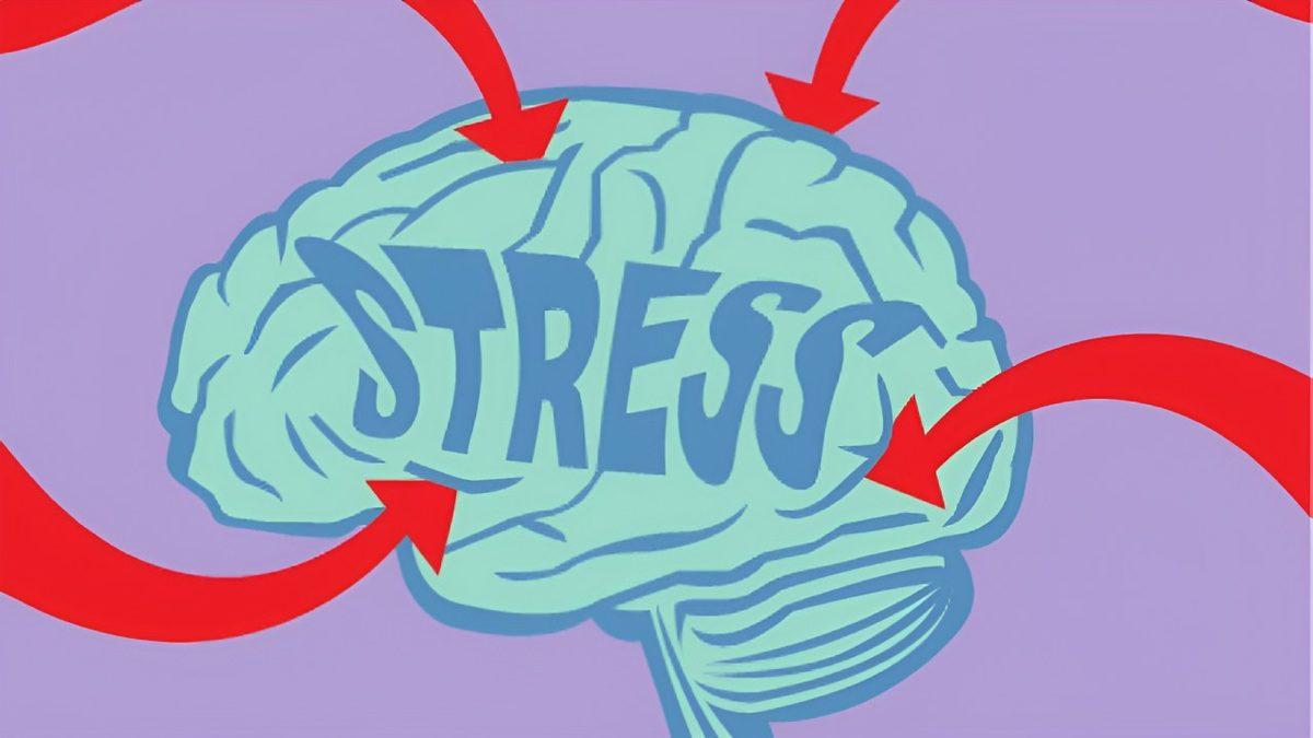 En Küçük Bir Stresin Bile Beynimizde Yarattığı Etkileri Öğrenince Sakin Kalmak İçin Elinizden Geleni Yapacaksınız!